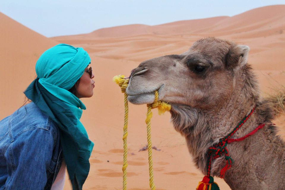 al in desert safari