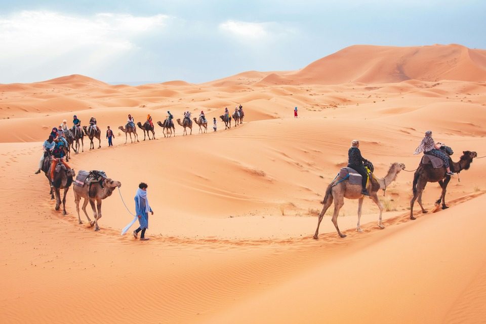 Desert safari pick & drop by bus with BBQ dinner-camel ride-sand barding and live show